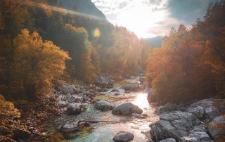 https://pixabay.com/photos/fall-so%C4%8Da-forest-river-slovenia-7635185/